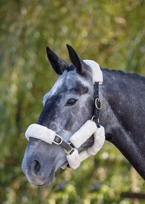 Shires ARMA SupaFleece Halter Set