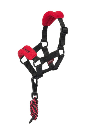 LeMieux Toy Pony Vogue Headcollar & Leadrope