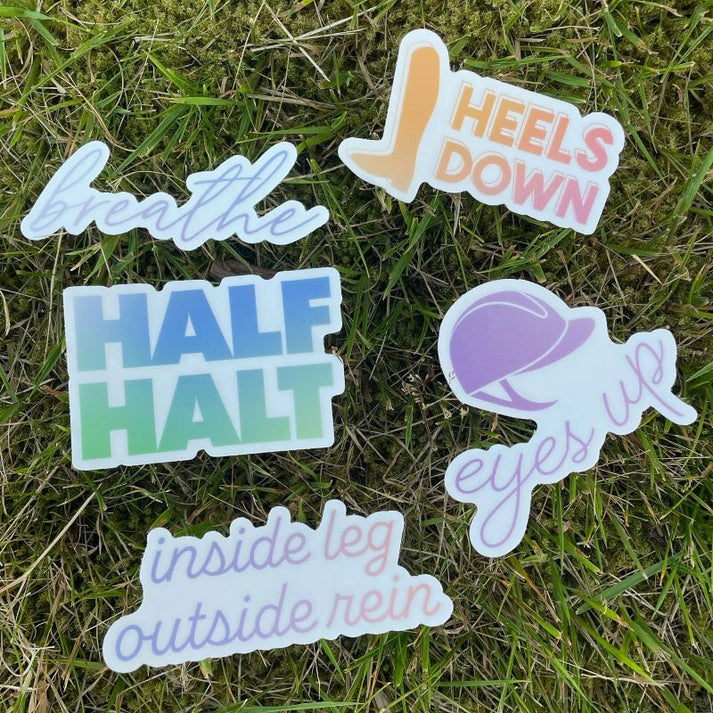 Dapplebay Sticker Pack-Trainer Sayings