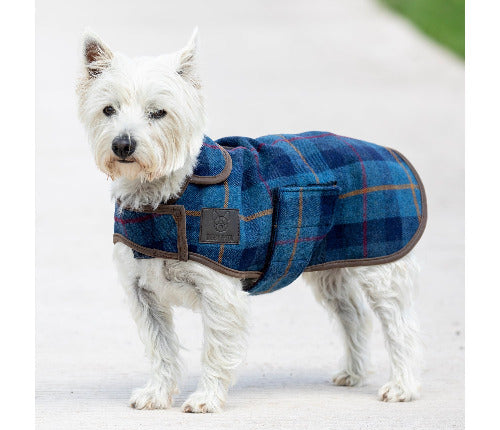 Shires Digby & Fox Tweed Dog Coat