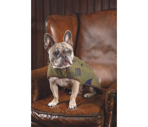 IN STORE Shires Digby & Fox Tweed Dog Coat SALE