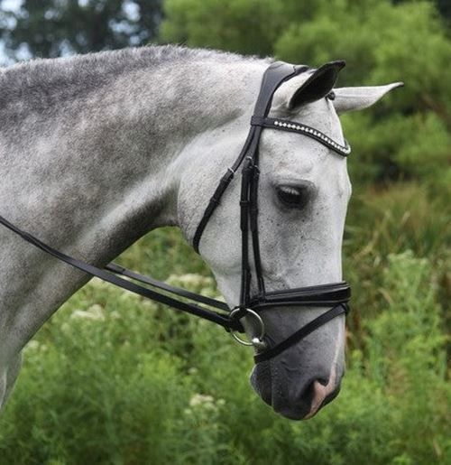 KL Select RED Barn Pace Patent Dressage Bridle