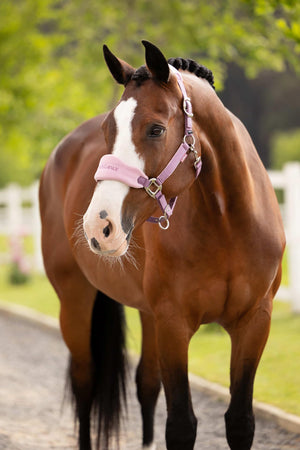 LeMieux Vogue Headcollar & Leadrope