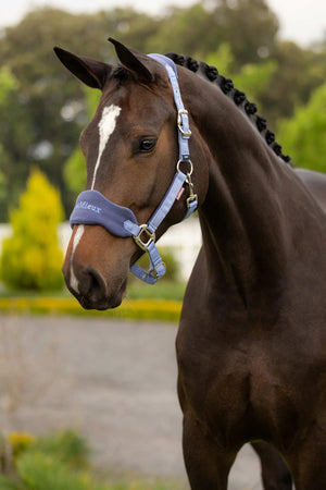 LeMieux Vogue Headcollar & Leadrope