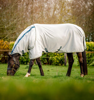Rhino Plus Pony Turnout 100g