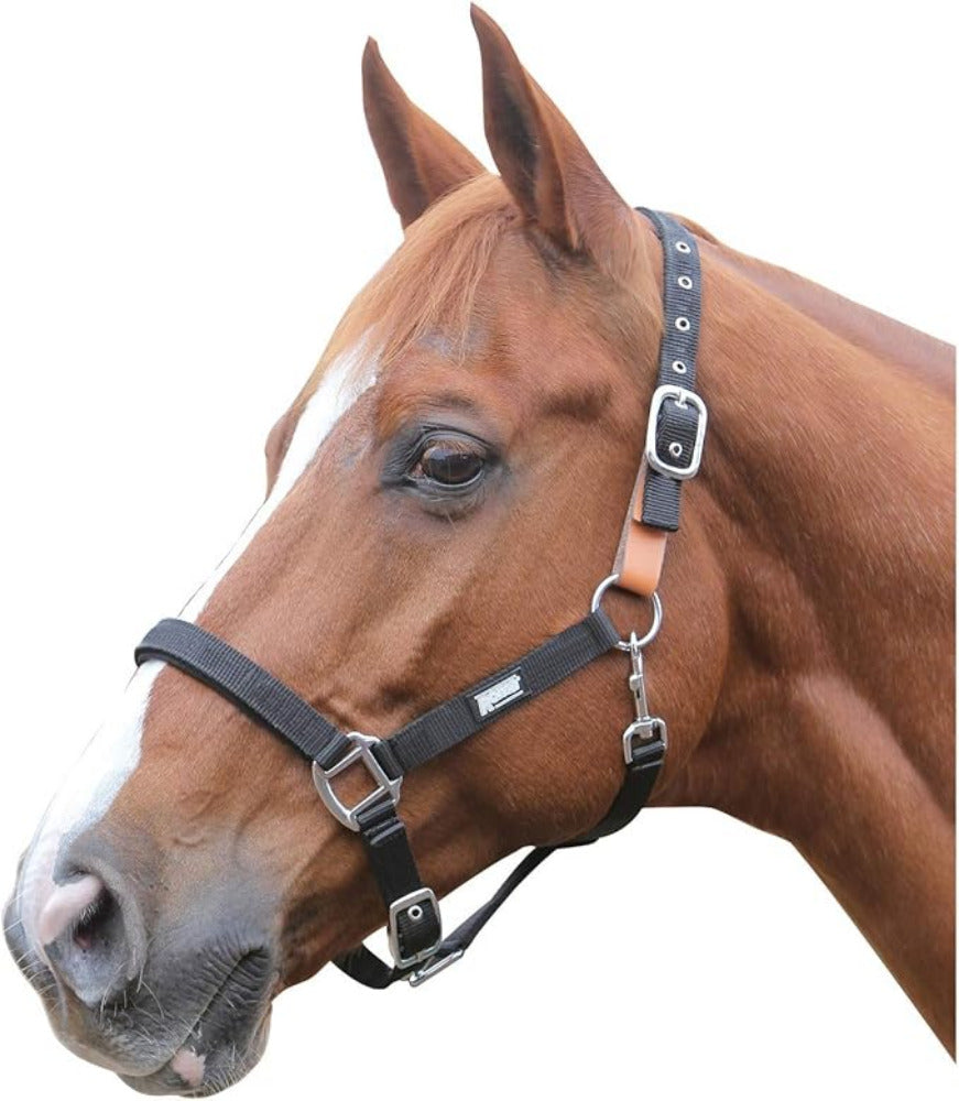 Roma Breakaway Headcollar CLOSEOUT - The Carousel Horse 