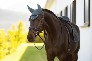 LeMieux Loire Ear Bonnet