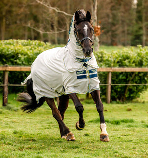 Rhino Plus Pony Turnout 100g