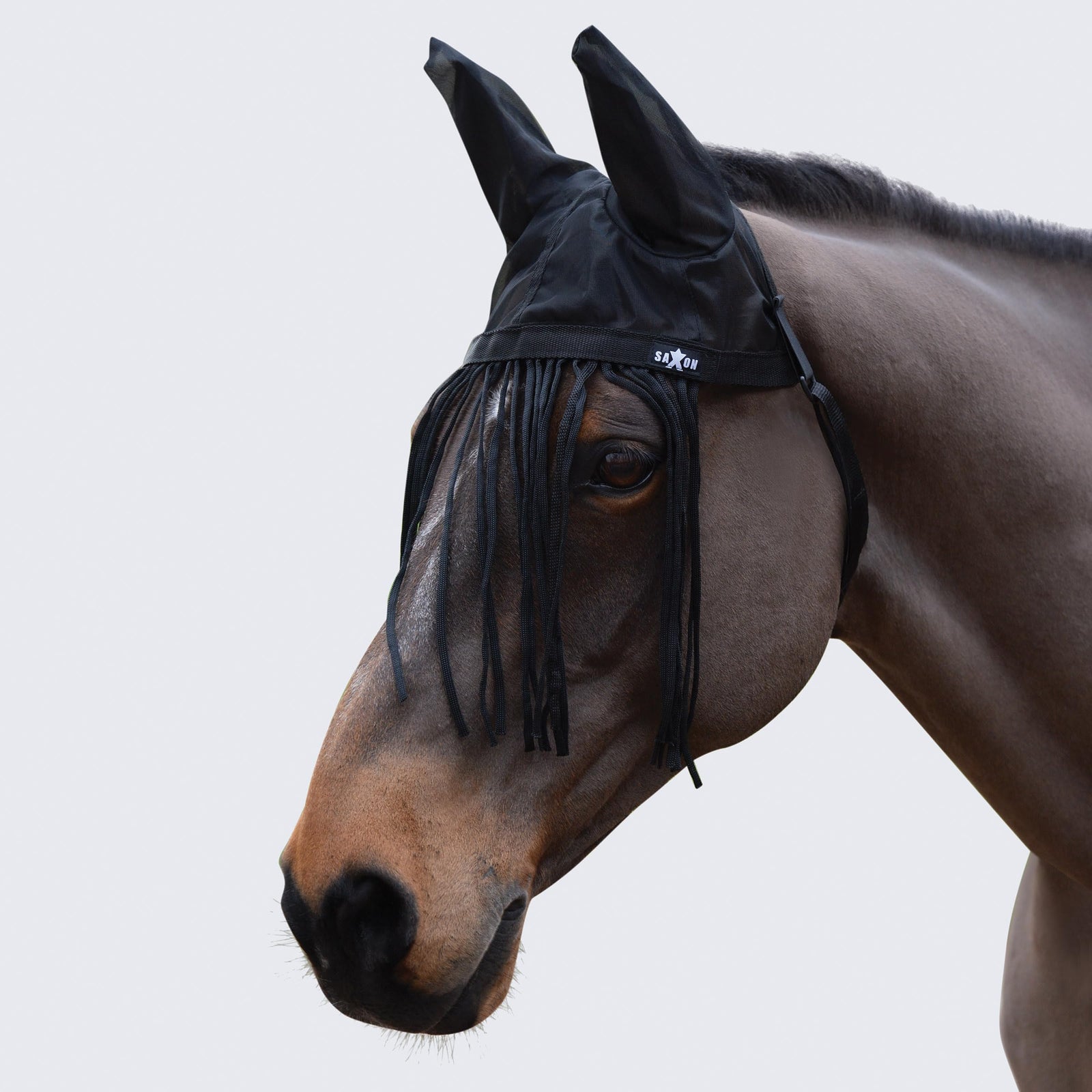 SAXON FLY FRINGE WITH EARS BLACK PONY