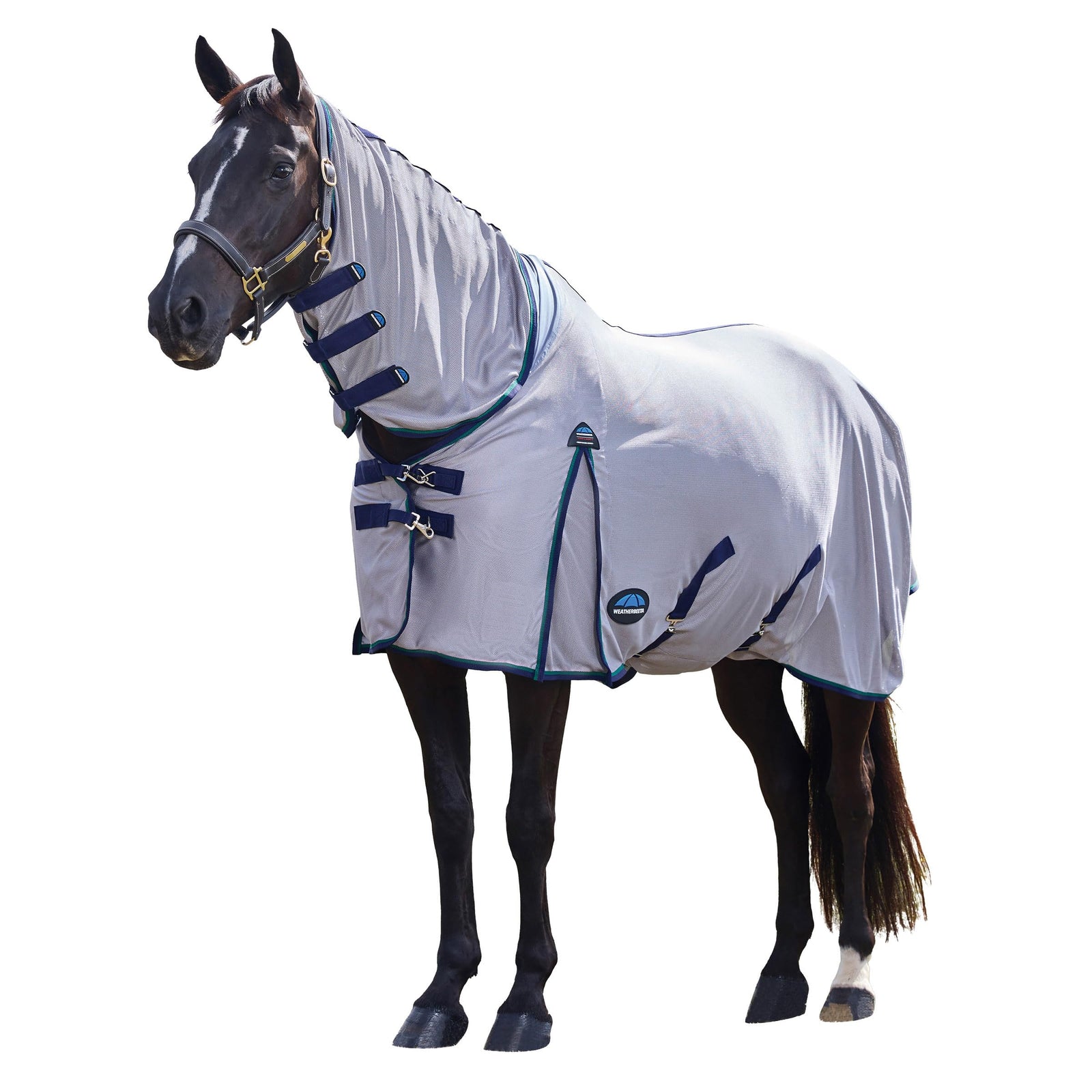 WeatherBeeta ComFiTec Zephyr Fly Sheet Combo