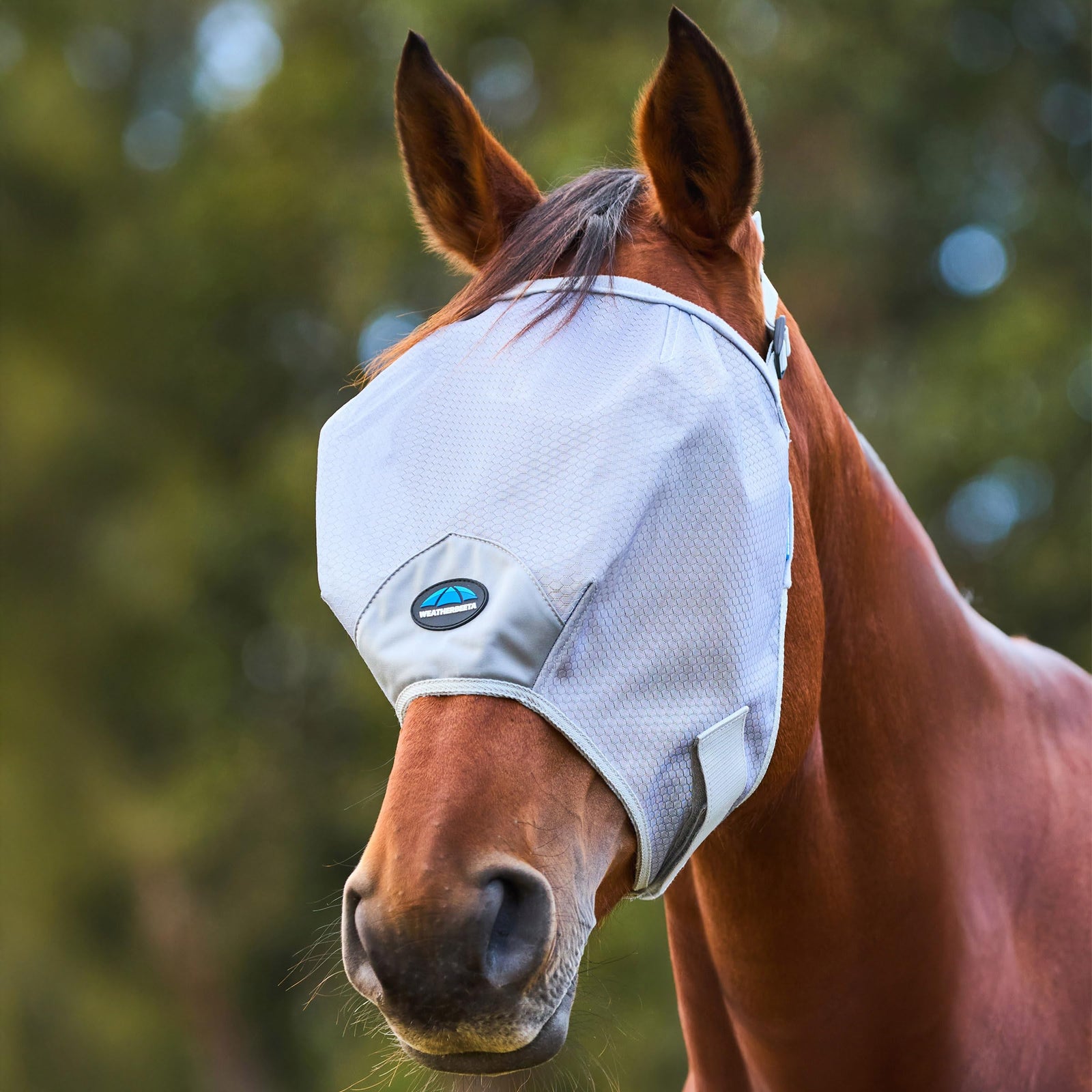 WeatherBeeta ComFiTec Hexi Shield Duo Fly Mask