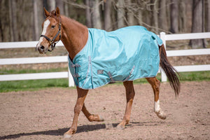 TuffRider 600 D Comfy Winter Standard Neck Ripstop Turnout Sheet- Turquoise- 69