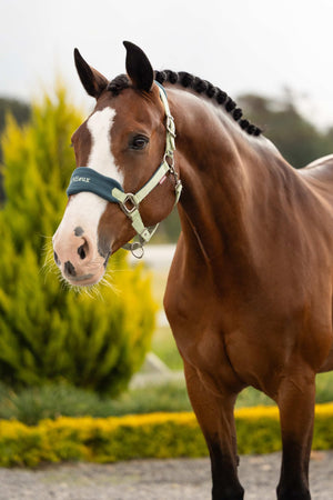 LeMieux Vogue Headcollar & Leadrope