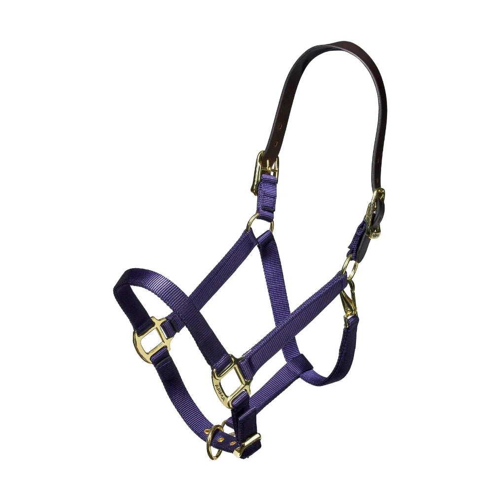 Shires Nylon Halter With Leather Head Strap