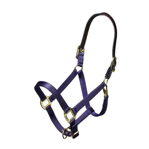 Shires Nylon Halter With Leather Head Strap