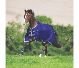 IN STORE Shires Highlander Plus Lite Standard Neck CLOSEOUT