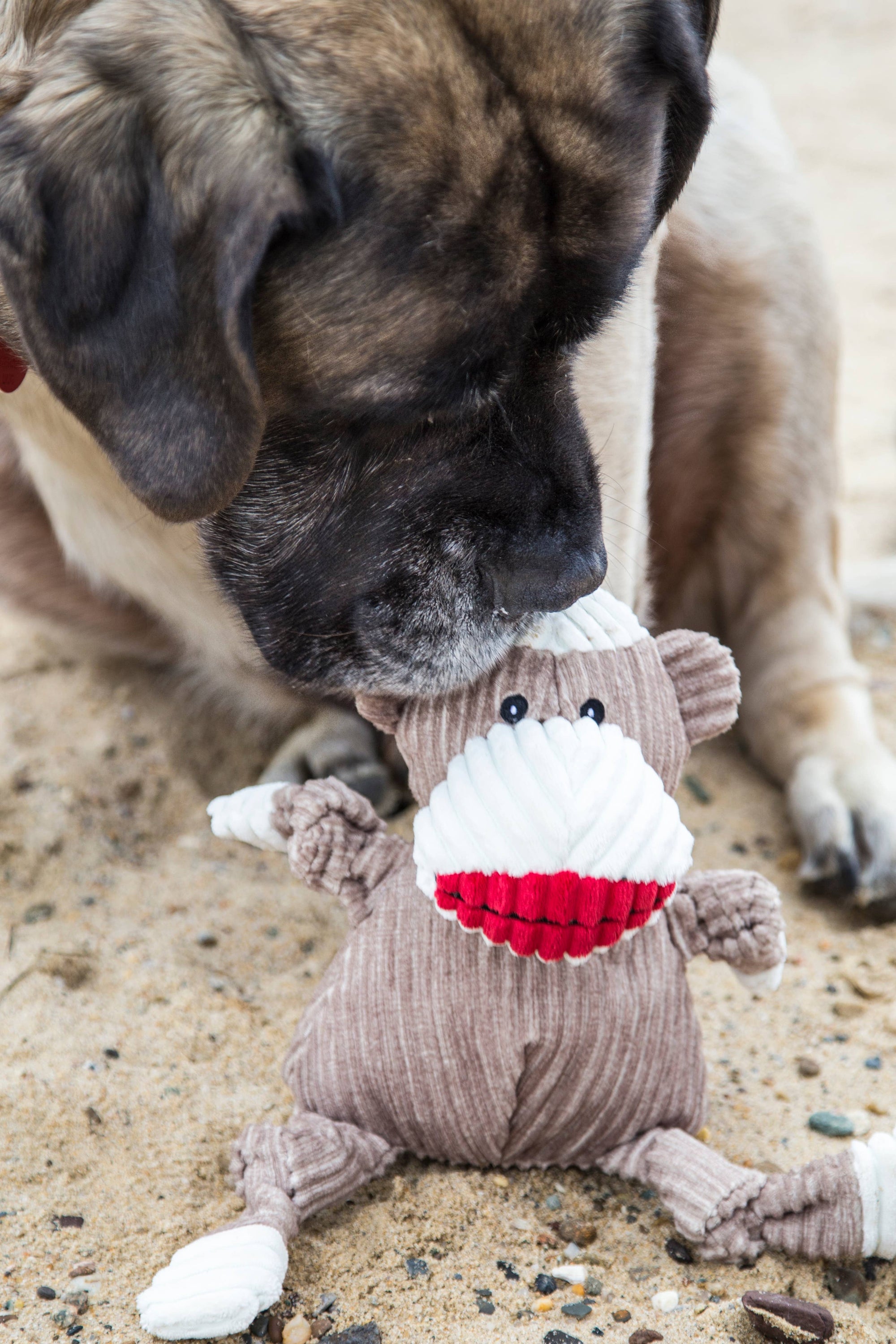 HuggleHounds - Stuey Sock Monkey Knottie®  Plush Dog Toy: Small