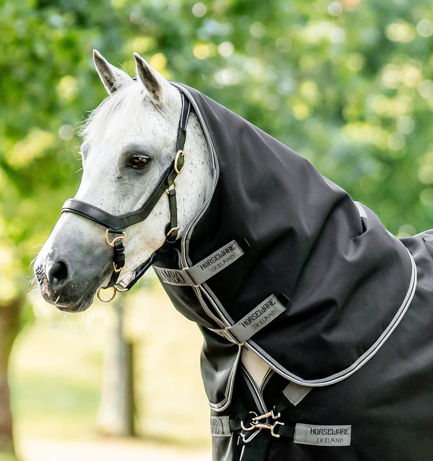 Horseware Rambo Supreme 1680D Hood Lite 0g