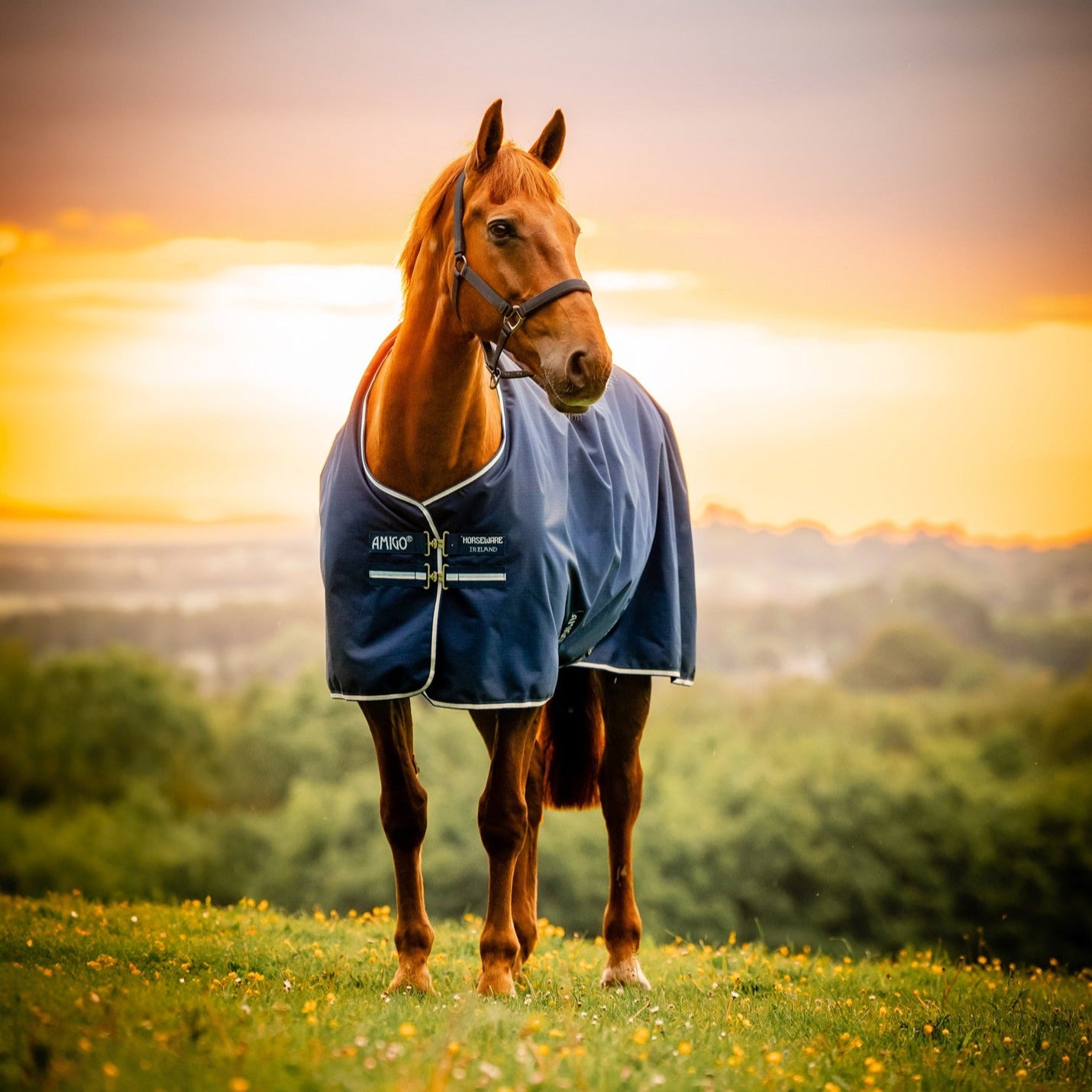 Horseware Amigo Ripstop 900D Turnout 100g