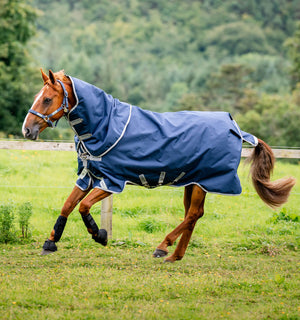 Horseware Amigo Bravo 12 Plus Turnout Medium 250g