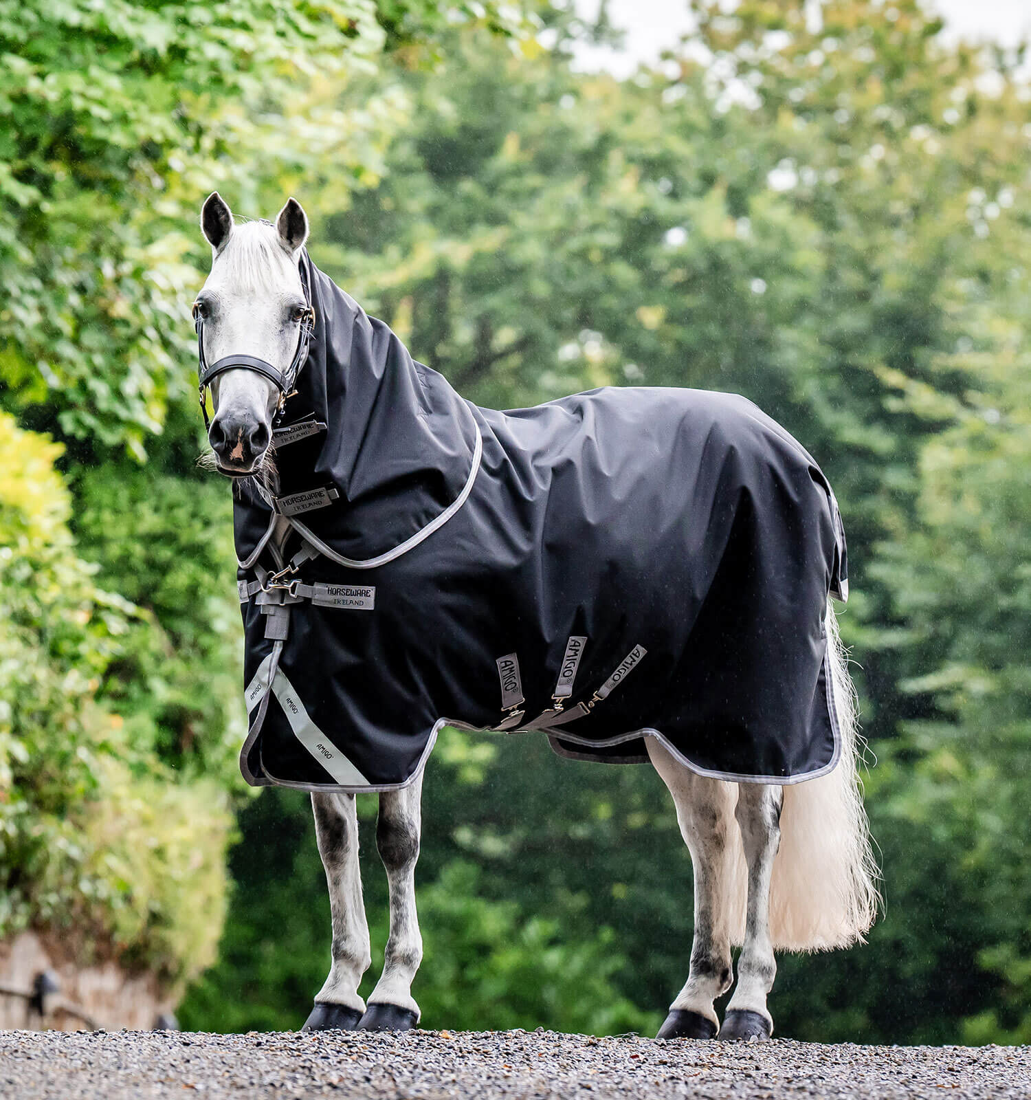 Horseware Amigo Bravo 12 Plus Turnout Medium 250g