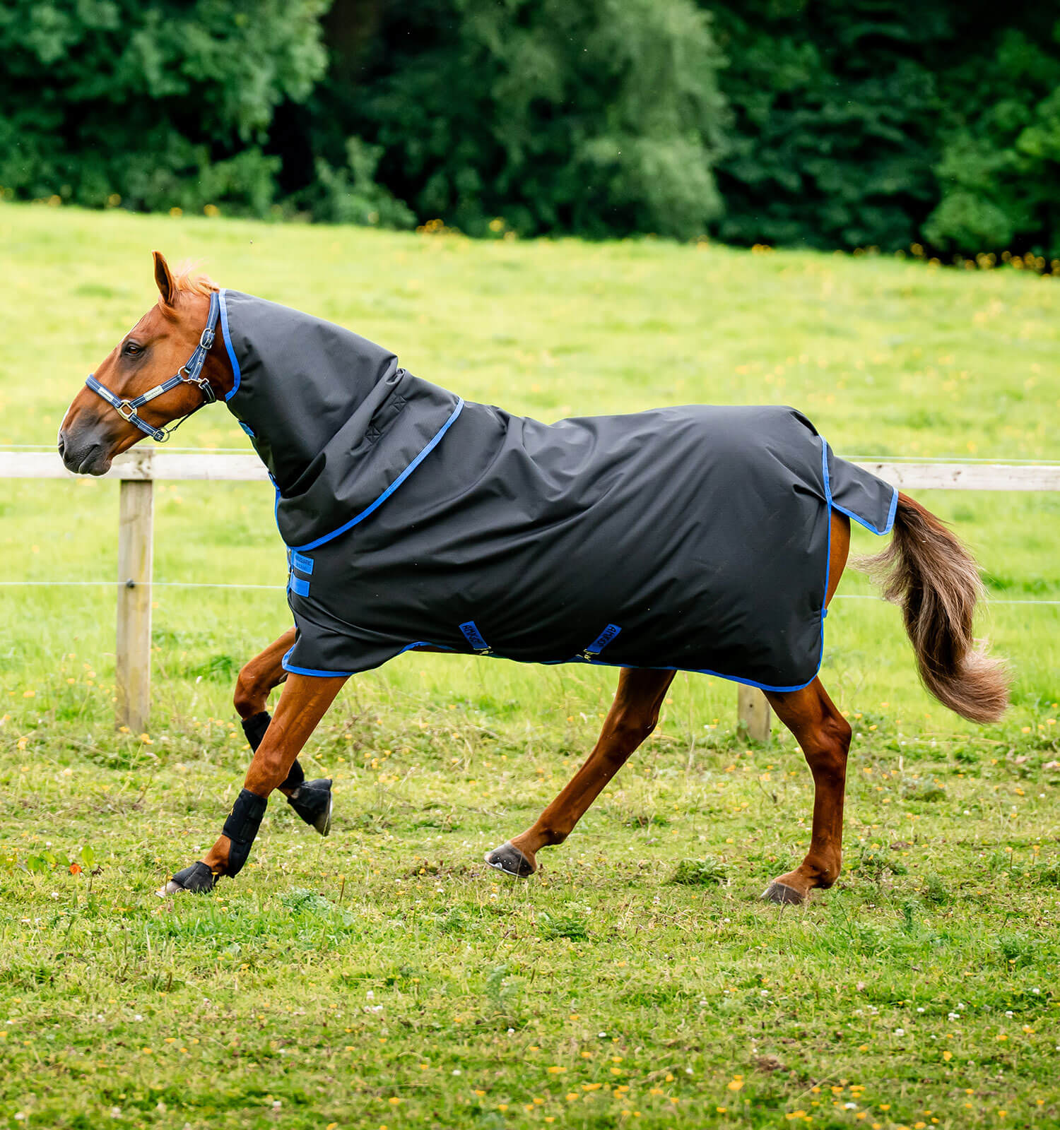 Horseware Amigo Ripstop 900D Plus Turnout 100g