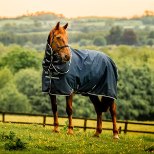 Horseware Amigo Ripstop 900D Plus Turnout 200g