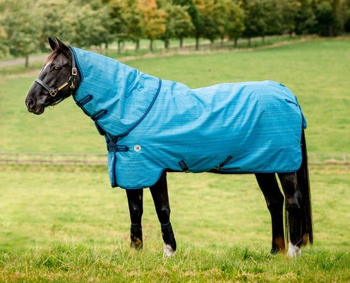 Horseware Amigo Hero 900D Revive Plus Turnout Medium 200g CLOSEOUT