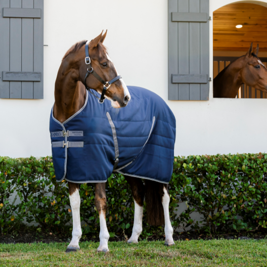 Horseware Rambo Stable Blanket Medium 200g