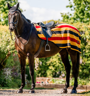 Horseware Newmarket Exercise Sheet