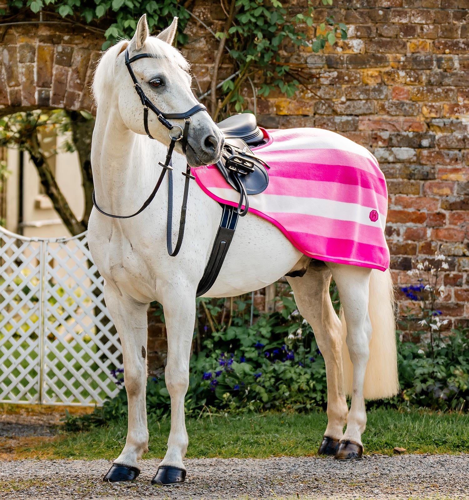 Horseware Newmarket Exercise Sheet