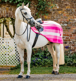 Horseware Newmarket Exercise Sheet