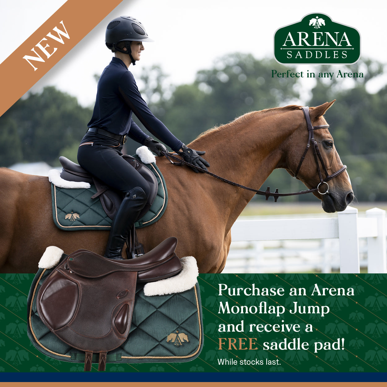 Arena Monoflap Jump Saddle