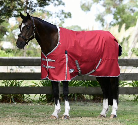 Weatherbeeta Comfitec Classic Standard Neck Plus Lite CLOSEOUT