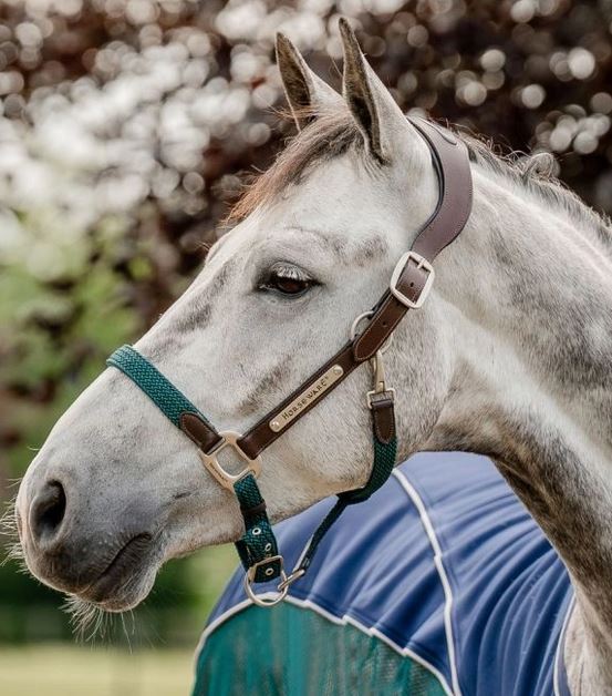 Horseware Signature Braided Halter