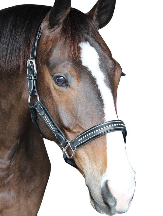 Henri de Rivel Padded Crystal Halter