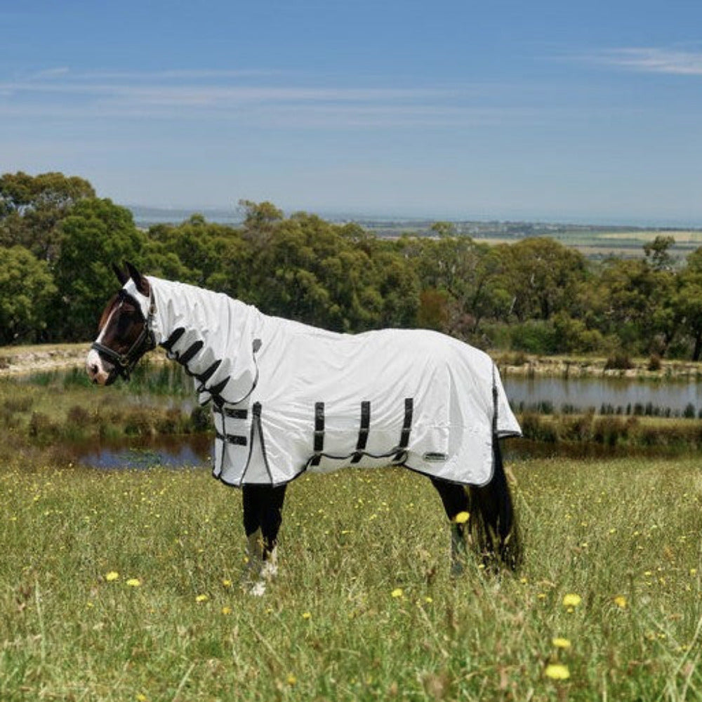 WeatherBeeta ComFiTec Sweet Itch Shield Fly Sheet Combo