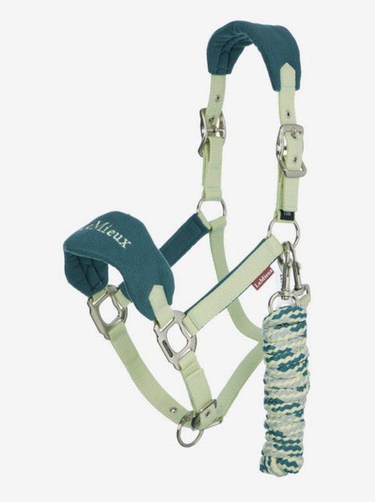 LeMieux Vogue Headcollar & Leadrope - The Carousel Horse 