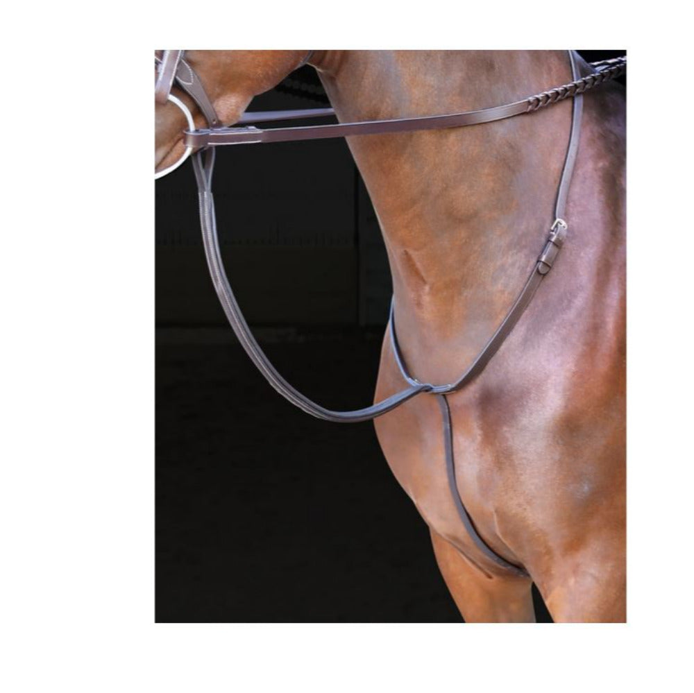 Shires Rosano Standing Martingale