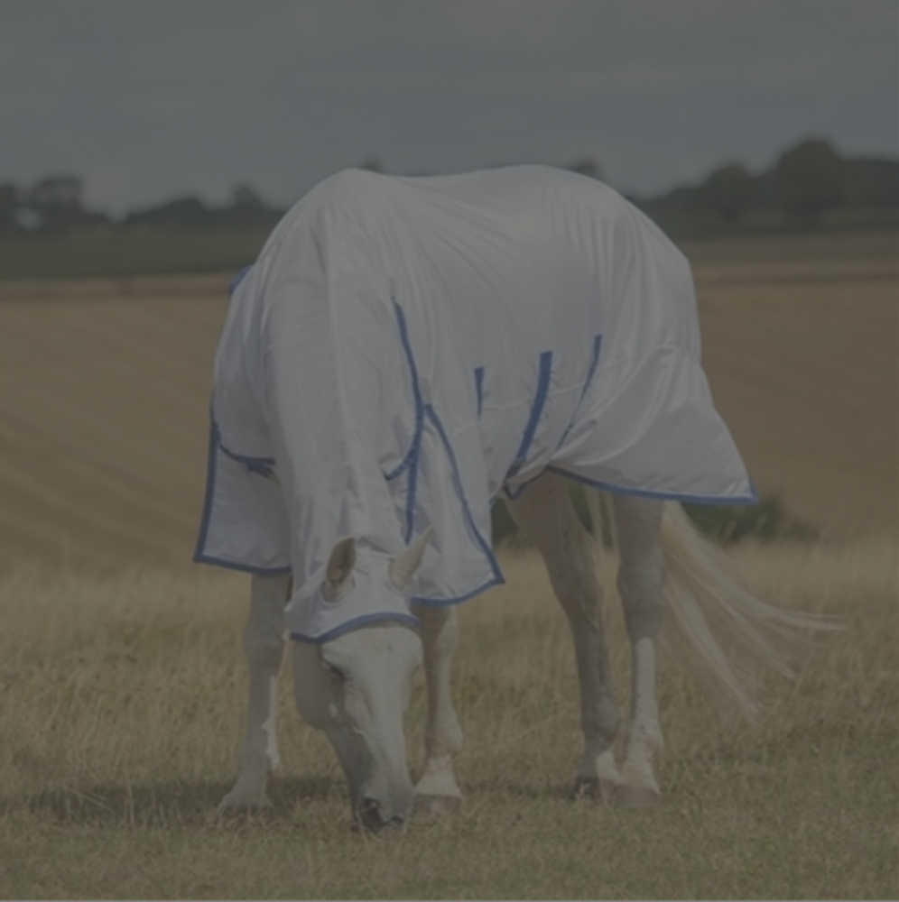 Shires Highlander Plus Fly Sheet Combo-CLOSEOUT - The Carousel Horse 