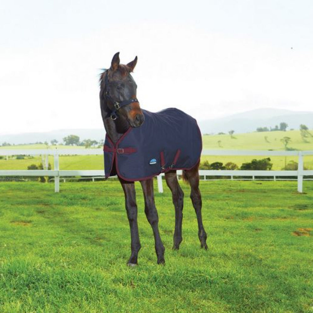 WeatherBeeta 1200D Foal Standard Neck 220G