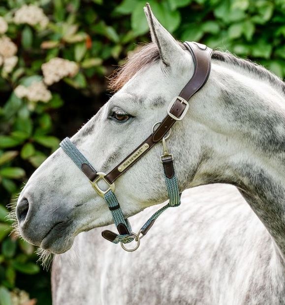 Horseware Signature Braided Halter