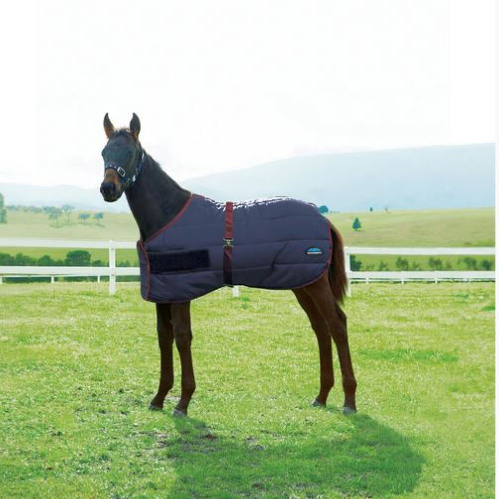 WeatherBeeta 420D Foal Standard Neck Medium