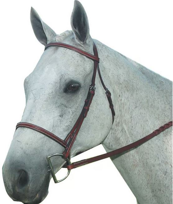 Kincade Plain Raised Bridle