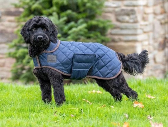 Shires Digby & Fox Quilted Dog Coat- Navy Large CLOSEOUT