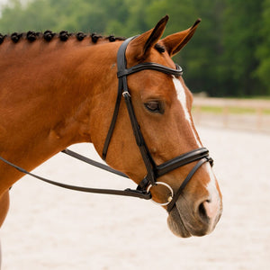 KL Select Elevation Bridle