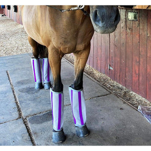 Majyk Equipe Fly-Bye Boots (4 Pack)