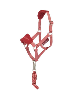 Lemieux Hobby Horse Vogue Headcollar & Leadrope