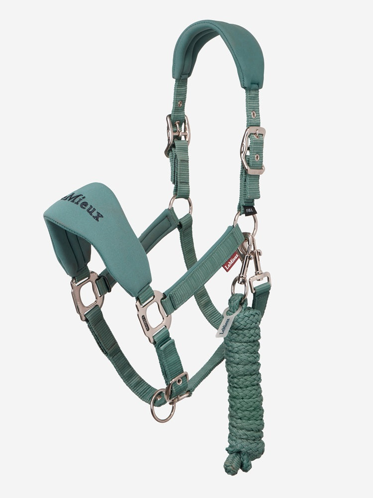 Lemieux Breakaway Vogue Headcollar & Leadrope - The Carousel Horse