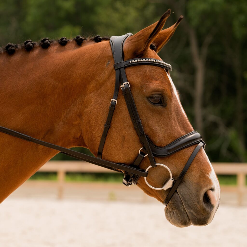 KL Select Impulsion Bridle